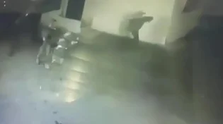 תיעוד דרמטי: שייטת 13 שלפו את המדען בלב לבנון