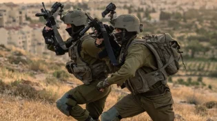 זרק אבנים על הלוחמים ו'נפל'