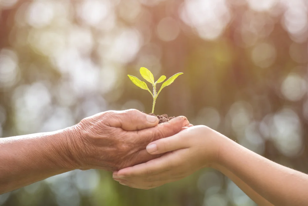 מתי מברכים ברכת הטוב והמטיב? הרב אברהם ישעיהו בן חמו משיב על השאלה 