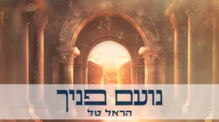 הראל טל בסינגל חדש: נועם פניך
