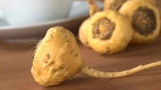 מהו מאקה ומדוע כל העולם 'משתגע' אחריו?