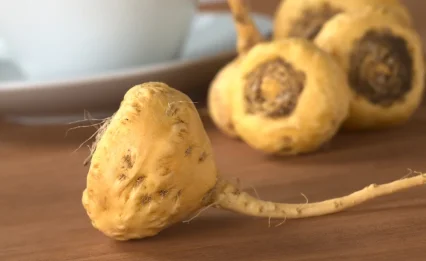 מהו מאקה ומדוע כל העולם 'משתגע' אחריו?