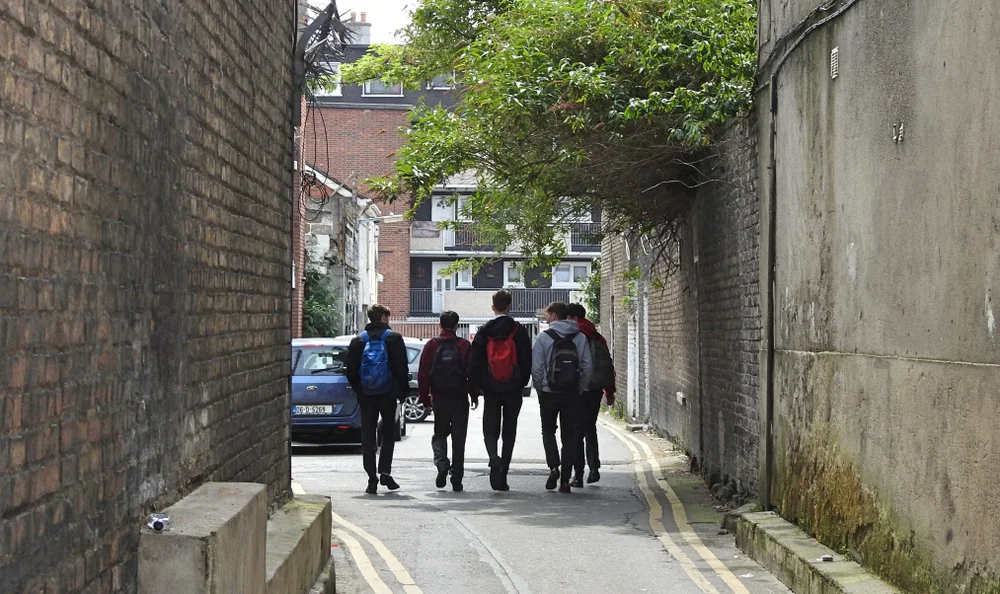 התכנים האנטישמיים שאירלנד מכניסה במערכת הלימודים שלה