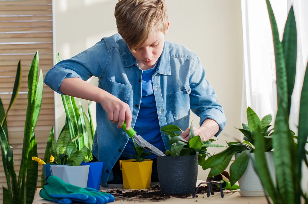 מחקר קובע? גינון הוא מפתח לכישורי חיים אצל ילדים קטנים מחקר קובע? גינון הוא מפתח לכישורי חיים אצל ילדים קטנים