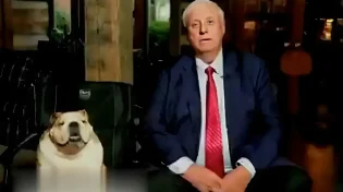 סערה בארה"ב: האם הכלב המפורסם יכנס לסנאט?