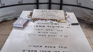 הכוח של הפלא יועץ