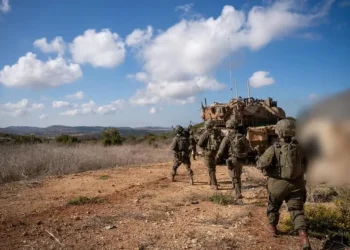 לוחמי צה"ל