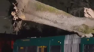 סיכום הסופה הסוערת שפקדה את וושינגטון