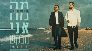 האחים ארי ויענקי היל בקליפ דואט מרגש: "מה אני מבקש"