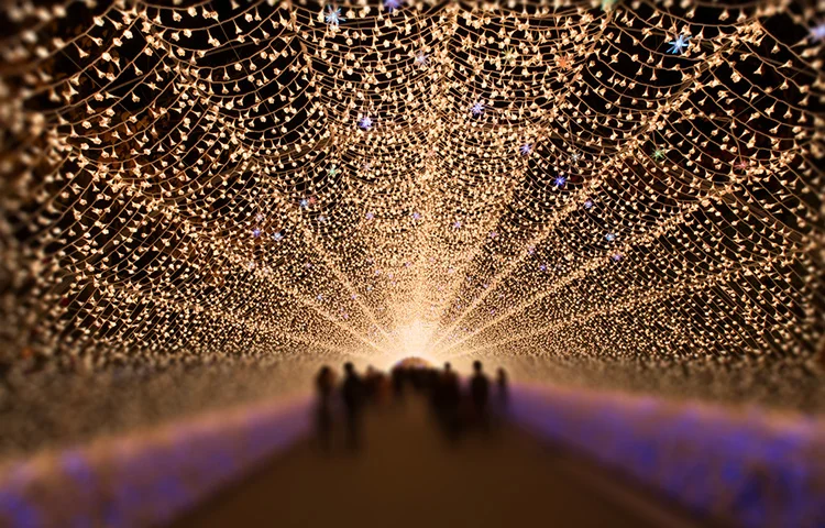 מסביב לעולם: 5 פסטיבלים ומסורות של חורף 