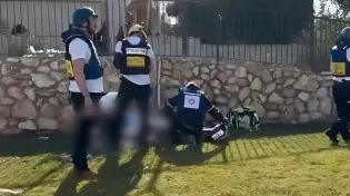 ראש עיריית נהריה: "מדינת ישראל כשלה. להחריב את לבנון"