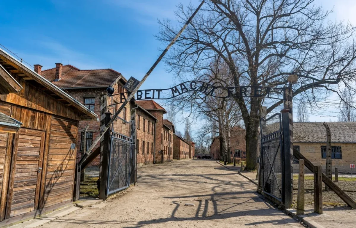 ליל הבדולח kfc: בגרמניה חוגגים ליל הבדולח kfc: בגרמניה חוגגים