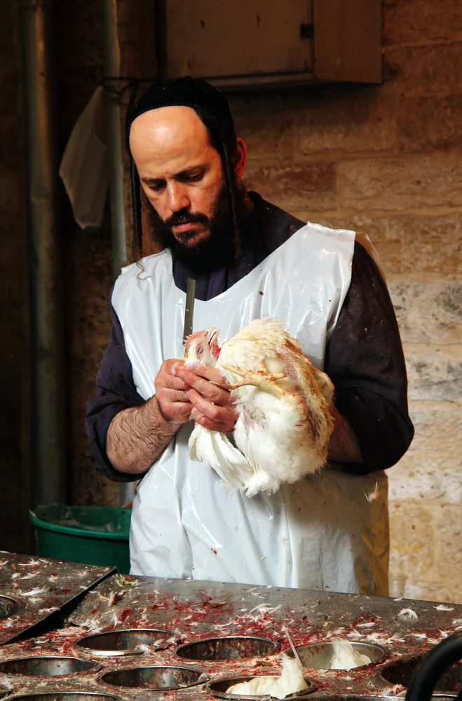 מכעיס: שר החקלאות פועל למען הגדלת שחיטת דבר אחר