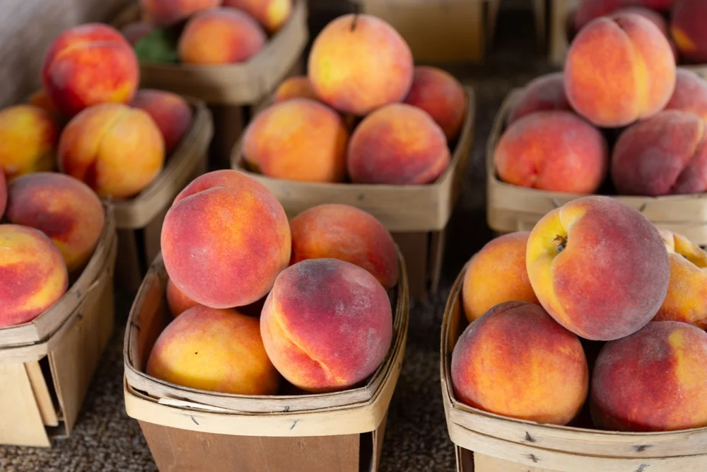 אוהבים אפרסקים? יש לכם סיבות טובות 