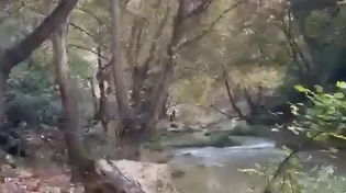 תיעוד נדיר מפעילות צה"ל בנהר הליטני