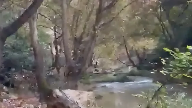 תיעוד נדיר מפעילות צה"ל בנהר הליטני