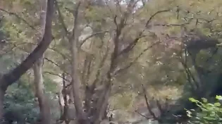 תיעוד נדיר מפעילות צה"ל בנהר הליטני