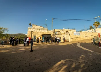 גל הזמנות במירון: הציבור חוזר עם הפסקת האש בצפון