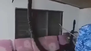 שוק: חשבו שזה מכרסמים וזה מה שהתגלה