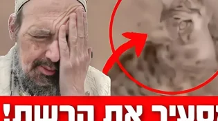 מסעיר את הרשת: חתול הגיע לכותל המערבי והחל ליילל
