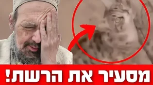 מסעיר את הרשת: חתול הגיע לכותל המערבי והחל ליילל