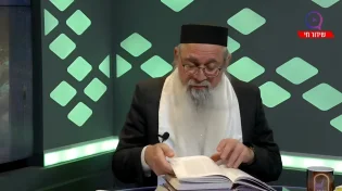 חתול הגיע לכותל המערבי והחל ליילל! האם מדובר בגלגול נשמות?