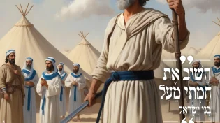 מגזין ערוץ 2000 - פרשת פנחס תשפ"ד