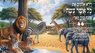 מגזין ערוץ 2000 - פרשת בראשית