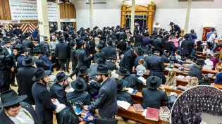 בשירת אני מאמין: אלפי השלוחים נעמדו לתמונה&nbsp;