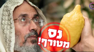 "הצדיק הצמיד לה אתרוג לפנים ואז קרה הנס!" מנפלאות הצדיק הפלאי הרב נפתלי סימון