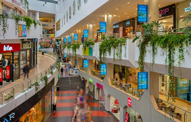 המע"מ עולה: מדריך לחיסכון בקניות לפני העלייה במס המע"מ עולה: מדריך לחיסכון בקניות לפני העלייה במס