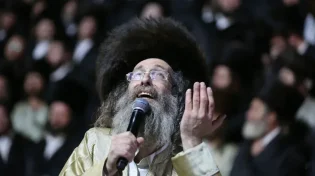 מס הכנסה גילו שמדובר באישה. הסיפור מרבי אלימלך בידרמן 
