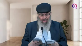 אלמלא נפלתי לא קמתי - בגן האמונה חלק נ"ו | רבי דוד אלקיים