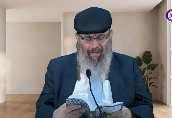 אלמלא נפלתי לא קמתי - בגן האמונה חלק נ"ו | רבי דוד אלקיים