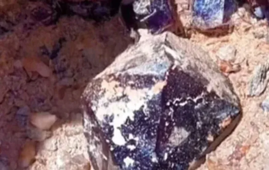 נדיר ובלתי נתפס: מצאה גביש יקר והרשת סערה נדיר ובלתי נתפס: מצאה גביש יקר והרשת סערה