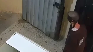 כמו סוריה: "צה"ל חשף את עינוי חמאס"