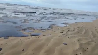 אסון אקולוגי חמור בחופי רוסיה: כתמי נפט מזהמים את הים