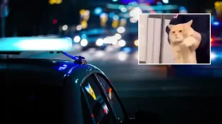 לא תאמינו: המשטרה עצרה את הגנב הסדרתי