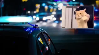 לא תאמינו: המשטרה עצרה את הגנב הסדרתי