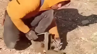 פינוי מוקשים באופן ידני בשטחי סוריה