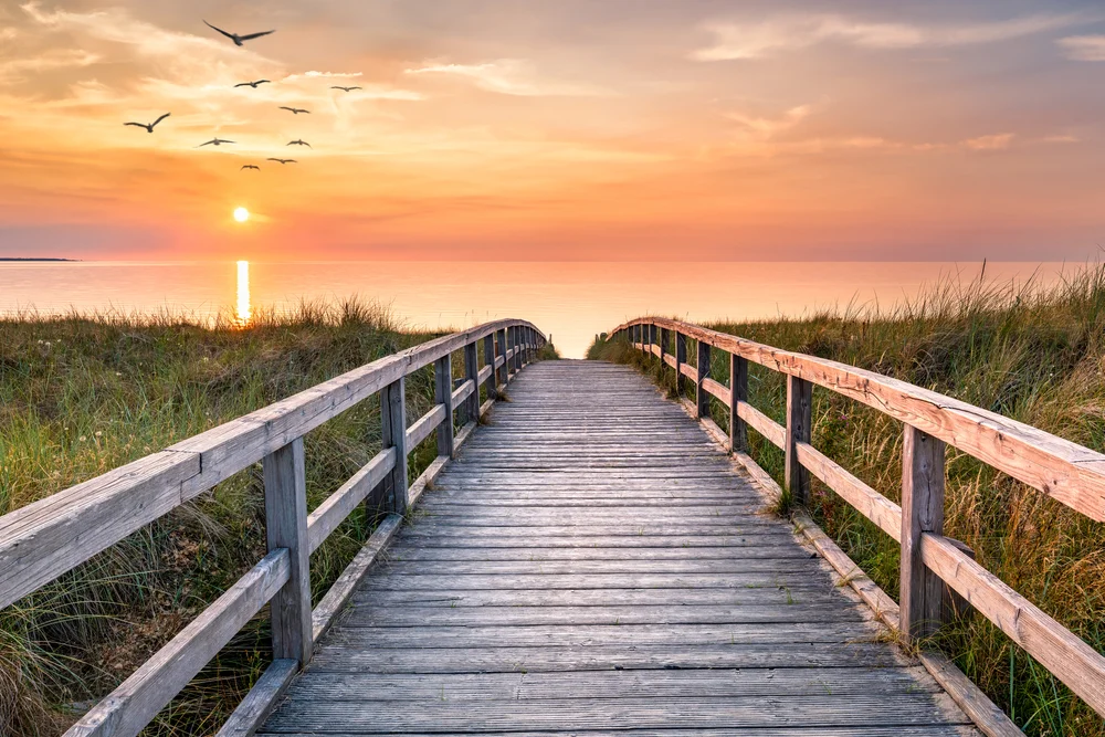 מהו פרק שירה ומה משמעותו ביהדות?