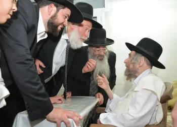 "בטח בה' והוא יעשה"- סיפור ממרן הגראי"ל שטיינמן זצ"ל "בטח בה' והוא יעשה"- סיפור ממרן הגראי"ל שטיינמן זצ"ל