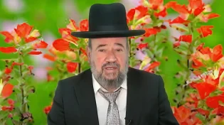 לראות את ה' גם ברגעים הכי קשים - פרשת מקץ - הרב דוד הכהן שליט"א