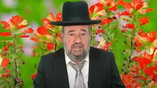 לראות את ה' גם ברגעים הכי קשים - פרשת מקץ - הרב דוד הכהן שליט"א 