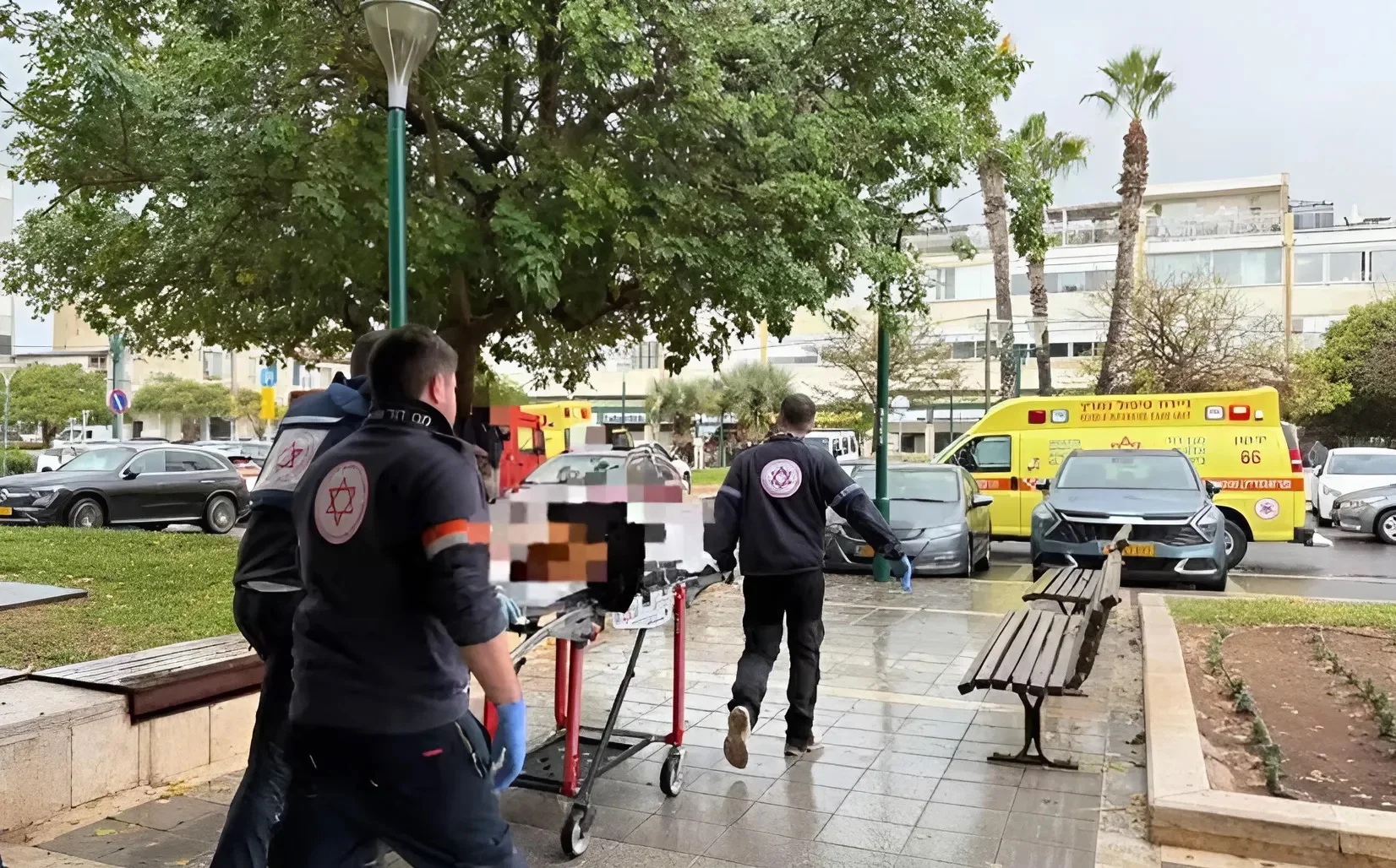 פיגוע דקירה בהרצליה: קשישה בת 83 נרצחה בדרכה לקניות