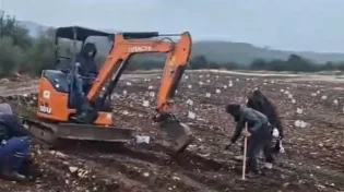 חוזרים לאדמה: נטיעת שתילים חדשים בגבול לבנון