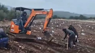חוזרים לאדמה: נטיעת שתילים חדשים בגבול לבנון