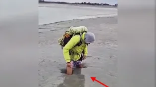 מעניין: מה עושים כשטובעים בביצה?