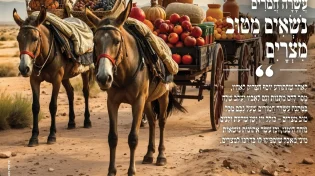 מגזין ערוץ 2000  - פרשת ויגש