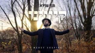 הזמר מנדי שפירא משחרר סינגל-קליפ בכורה: "קיווינו"
